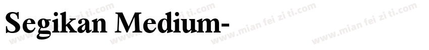 Segikan Medium字体转换